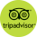 tripadvisor